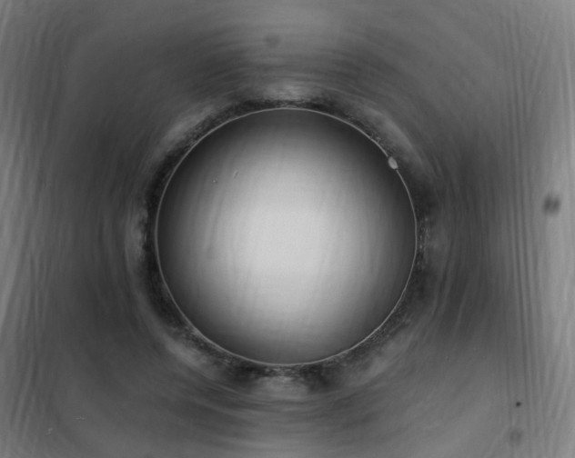 X0000102230544200807251237