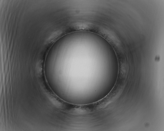 X0000102230545200807251237