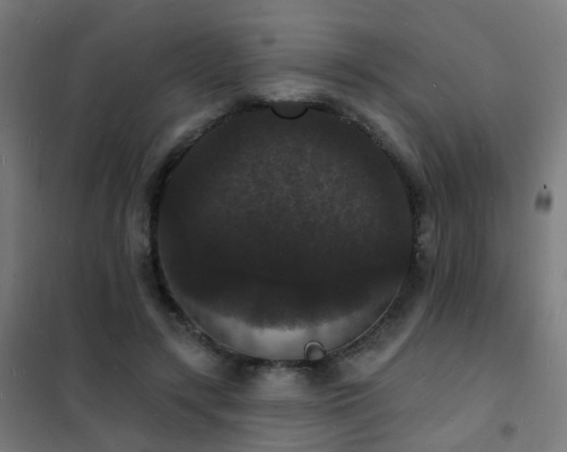 X0000102230547200807251237
