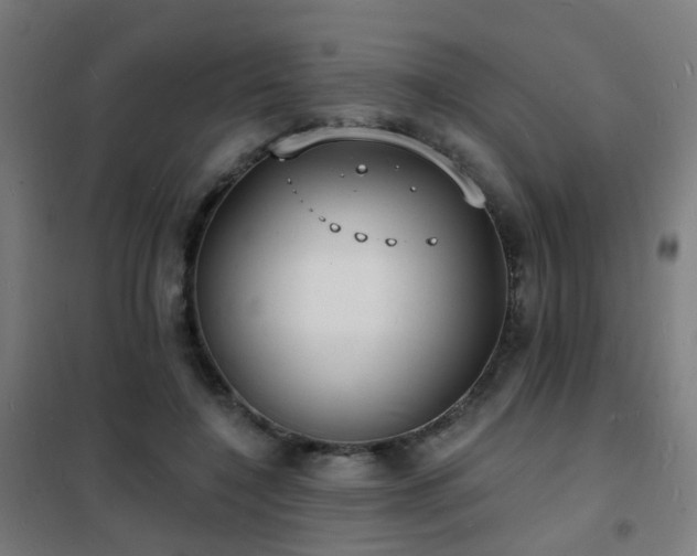 X0000102230548200807251237
