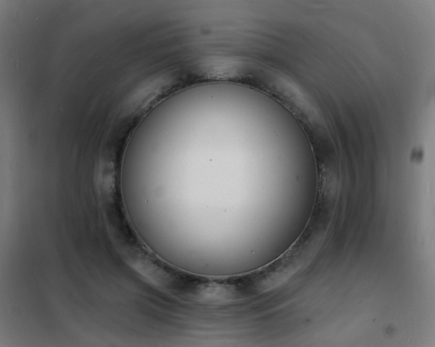X0000102230549200807251237