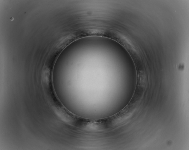 X0000102230550200807251237