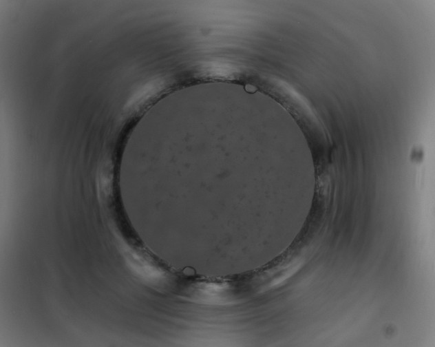 X0000102230552200807251237