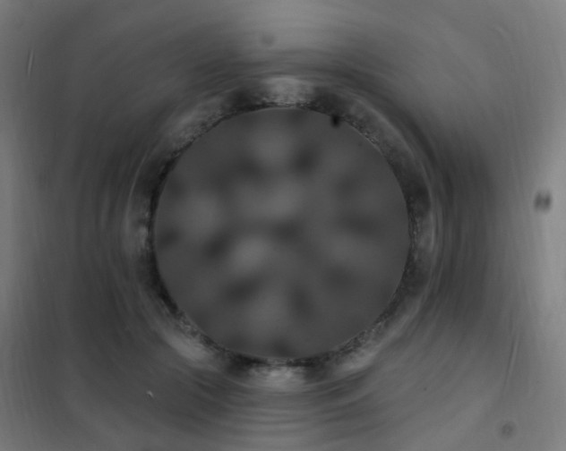 X0000102230553200807251237