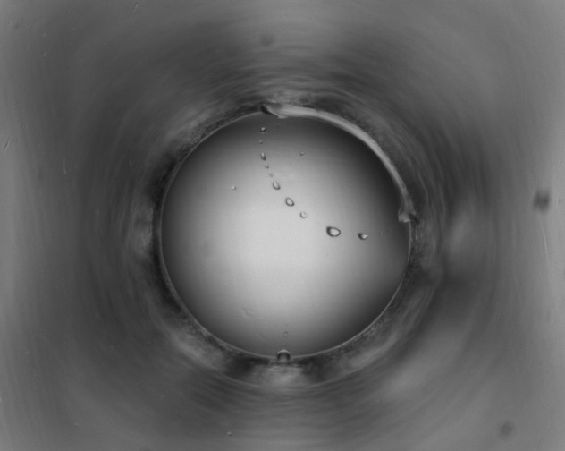 X0000102230554200807251237