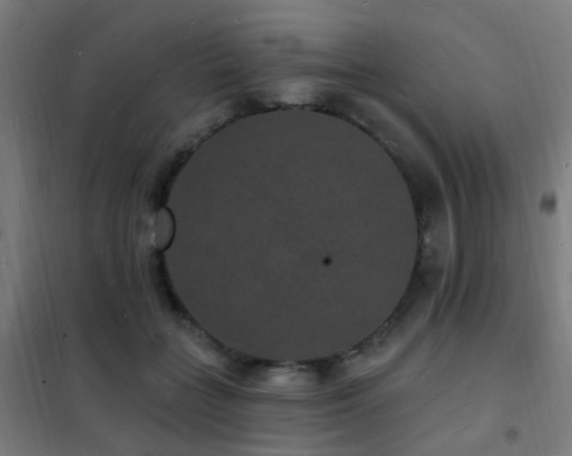 X0000102230555200807251237