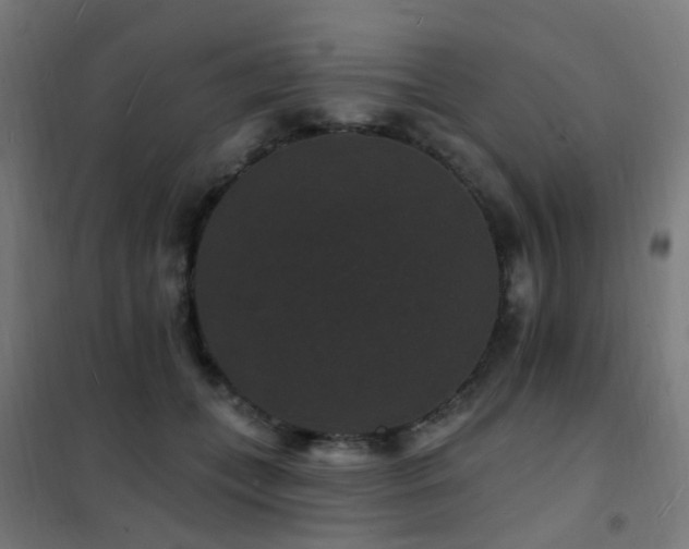 X0000102230559200807251237