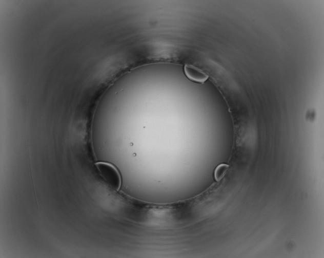 X0000102230560200807251237