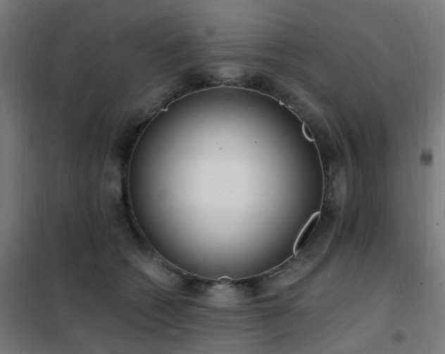 X0000102230562200807251237