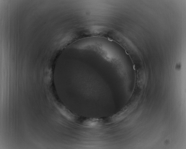 X0000102230563200807251237