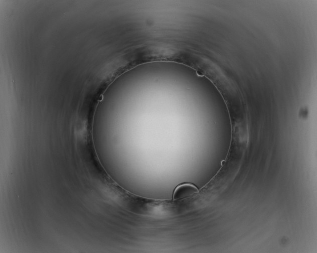 X0000102230564200807251237