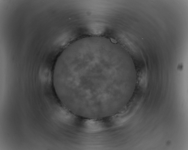 X0000102230568200807251237
