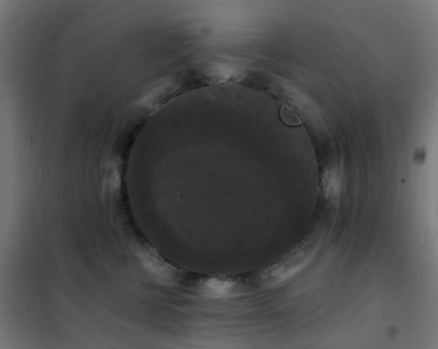 X0000102230570200807251237