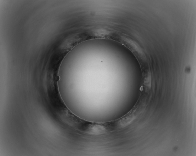 X0000102230572200807251237