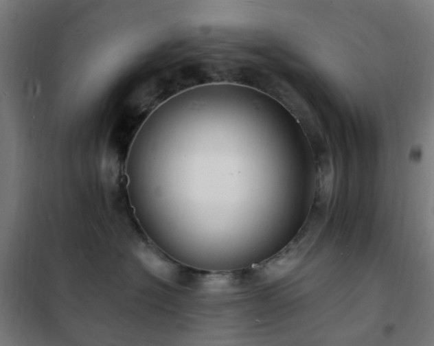 X0000102230574200807251237