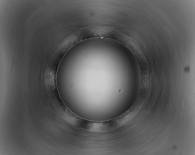 X0000102230575200807251237
