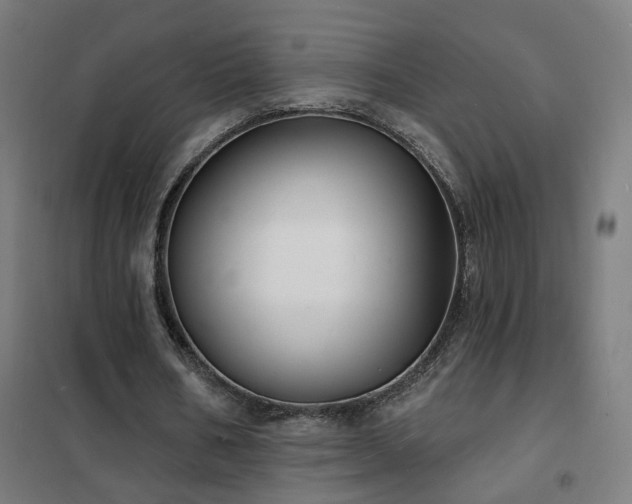X0000102230578200807251237