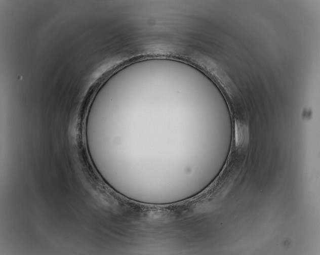 X0000102230579200807251237