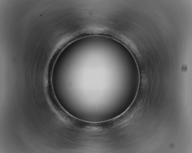 X0000102230582200807251237