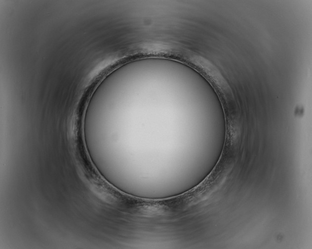 X0000102230583200807251237
