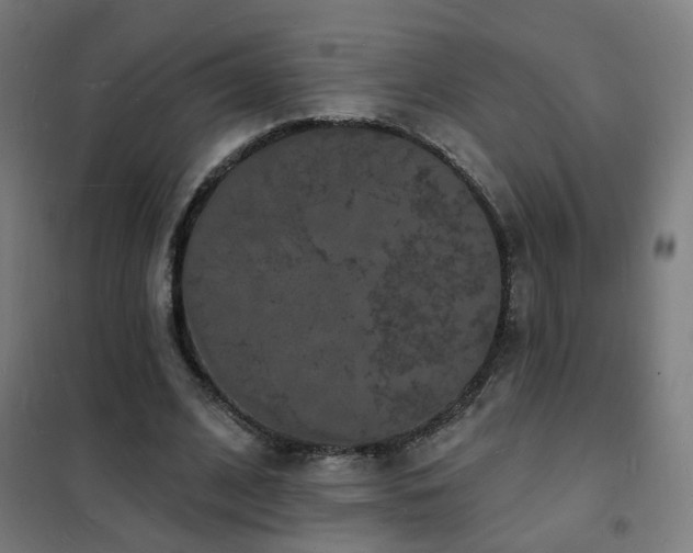 X0000102230584200807251237