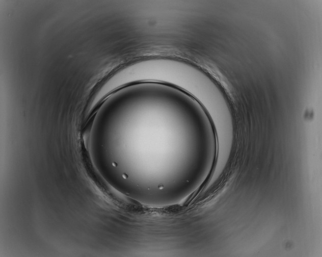 X0000102230585200807251237