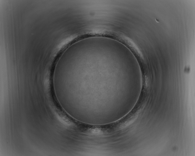 X0000102230588200807251237