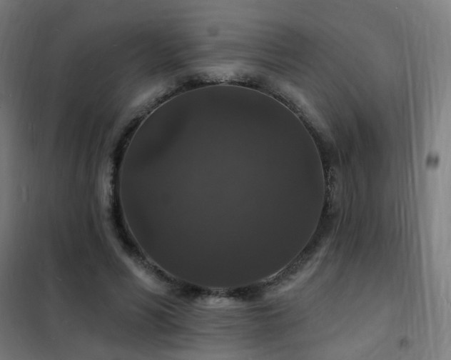 X0000102230590200807251237