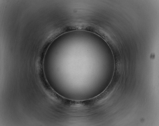 X0000102230594200807251237