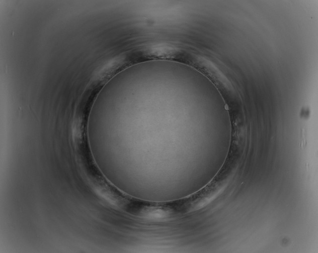 X0000102230597200807251236
