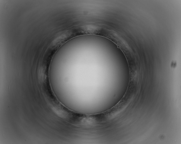 X0000102230599200807251236
