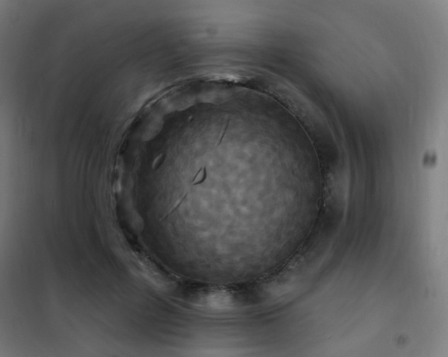 X0000102230600200807251236