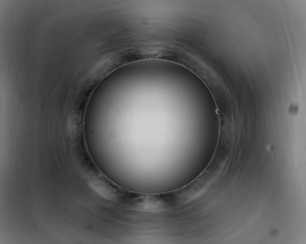 X0000102230601200807251236