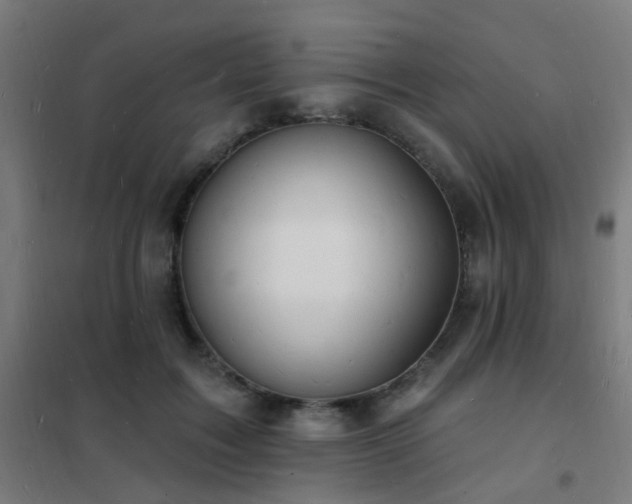 X0000102230603200807251236