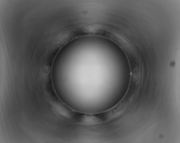 X0000102230605200807251236