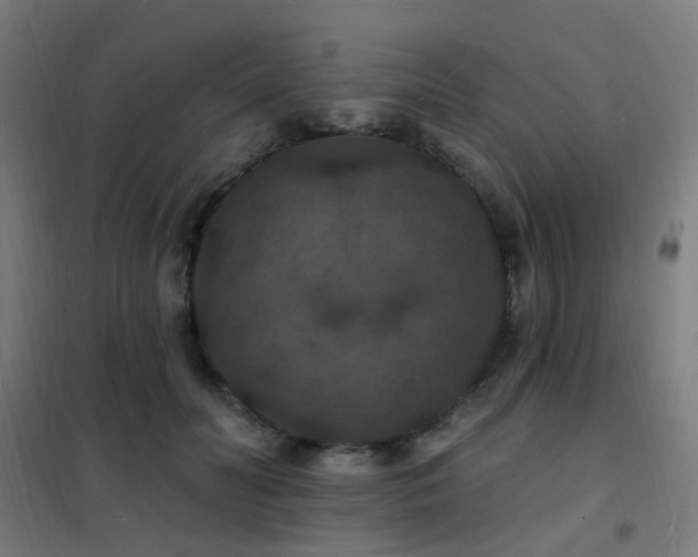 X0000102230606200807251236