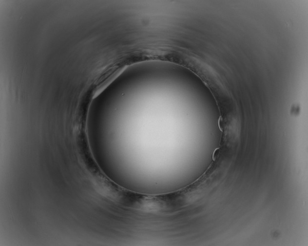 X0000102230608200807251236
