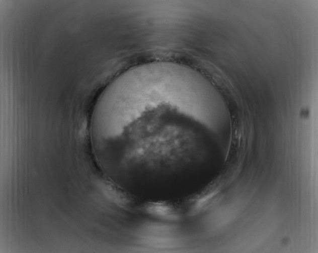 X0000102230610200807251236