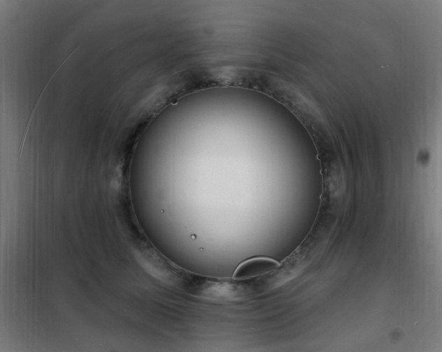 X0000102230611200807251236