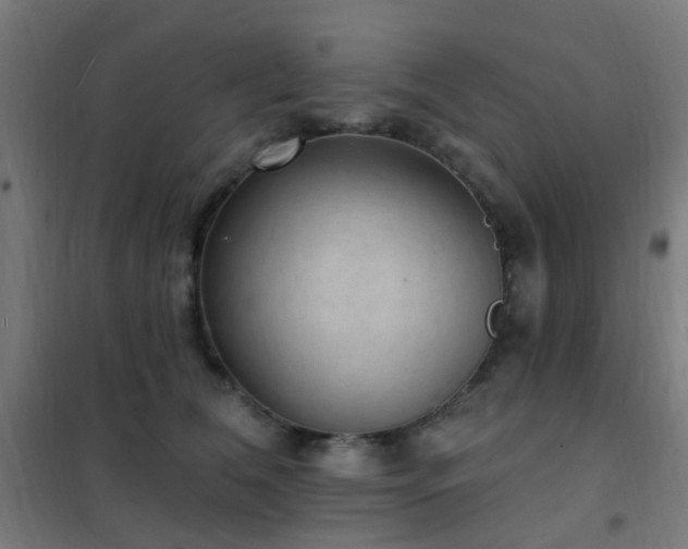 X0000102230612200807251236