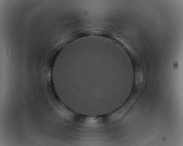 X0000102230613200807251236