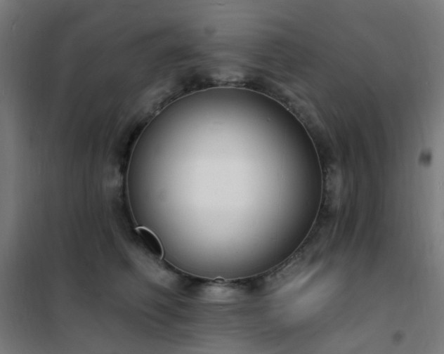 X0000102230614200807251236