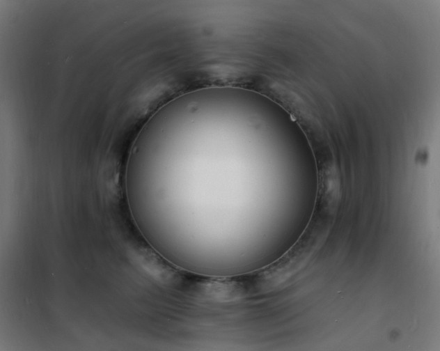 X0000102230615200807251236