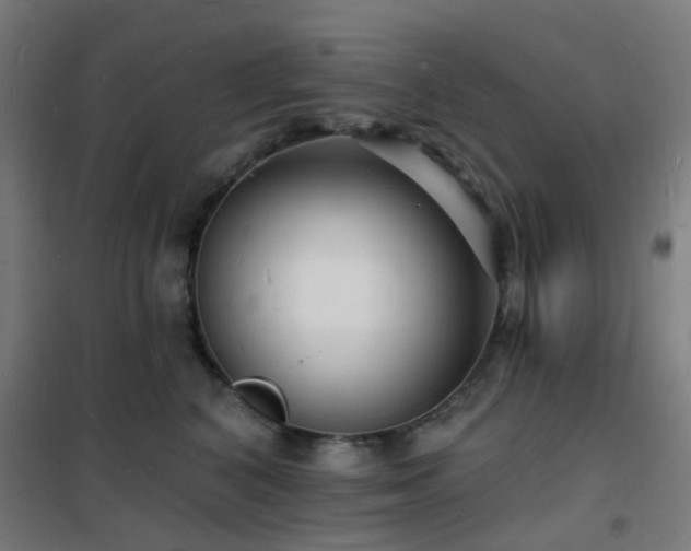 X0000102230616200807251236