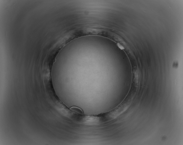 X0000102230617200807251236