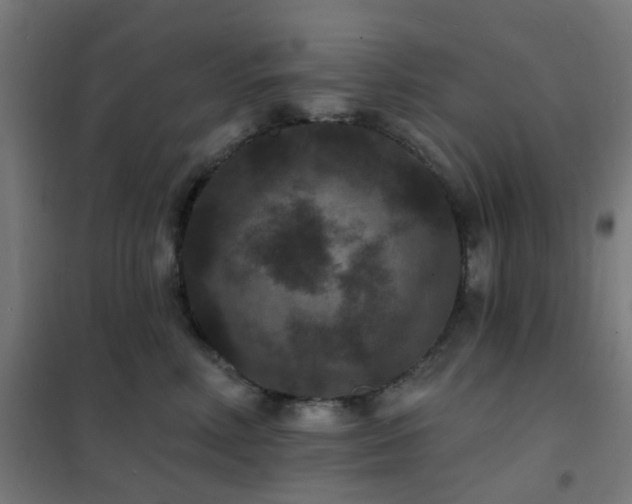 X0000102230618200807251236