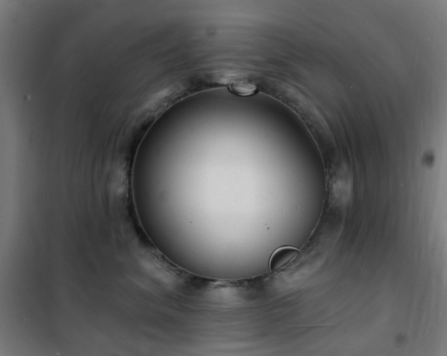 X0000102230620200807251236