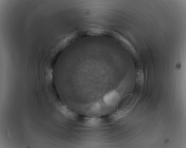 X0000102230621200807251236
