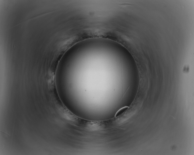 X0000102230624200807251236