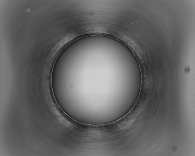 X0000102230625200807251235